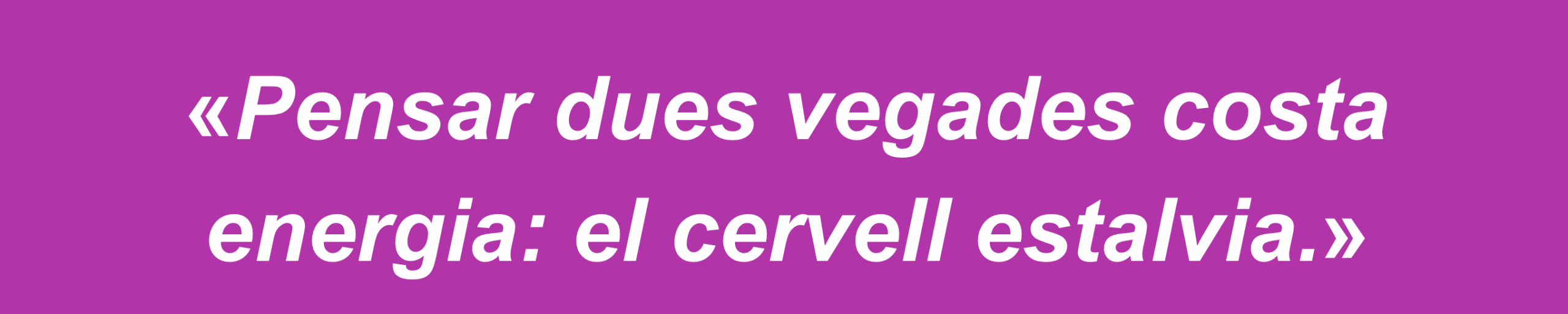 Captura de pantalla 2025-06-03 a las 0.04.02